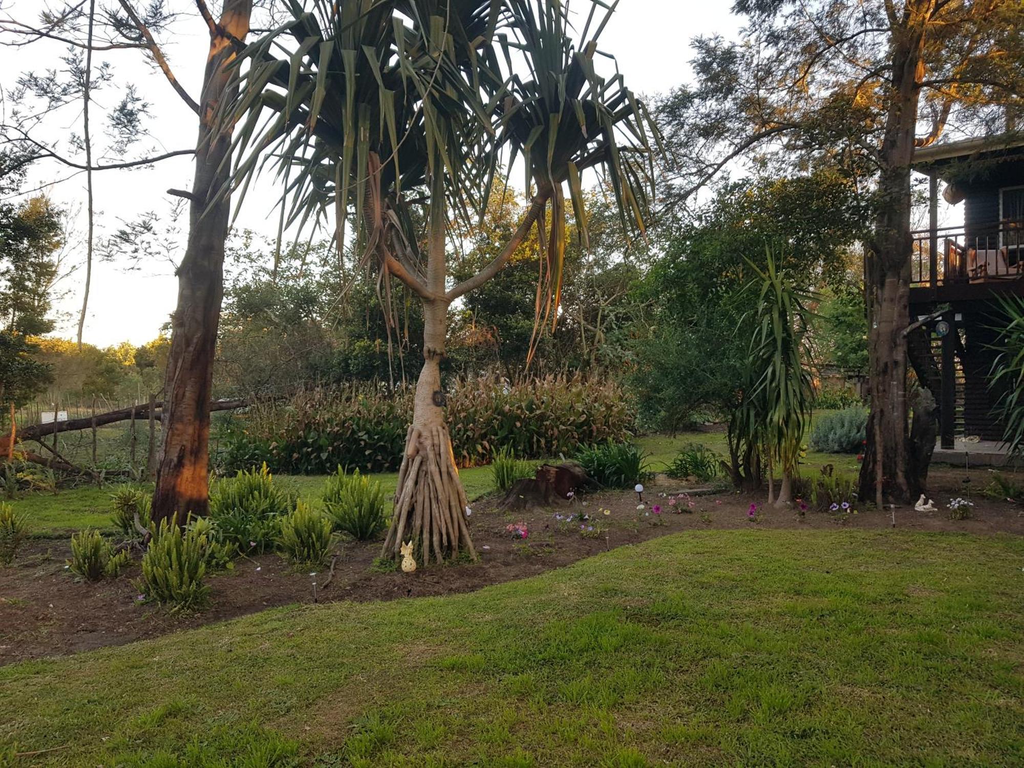 Elephants Loft Stormsrivier Exterior photo
